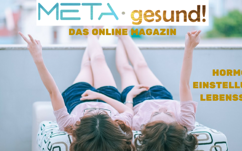 META-gesund Cover November 2017
