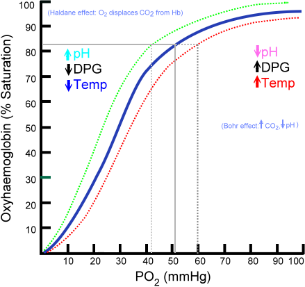 Oxyhaemoglobin dissociation curve